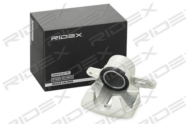 RIDEX 78B1045