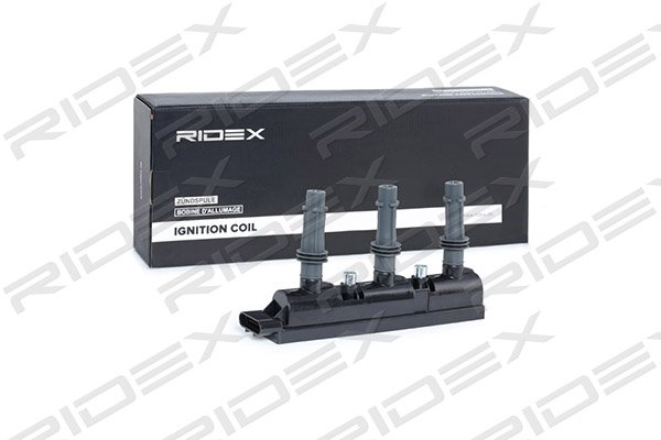 RIDEX 689C0304