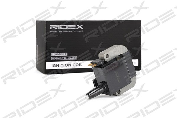 RIDEX 689C0117