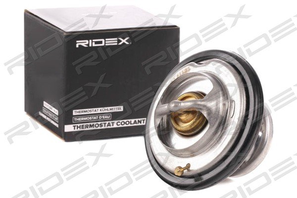 RIDEX 316T0043