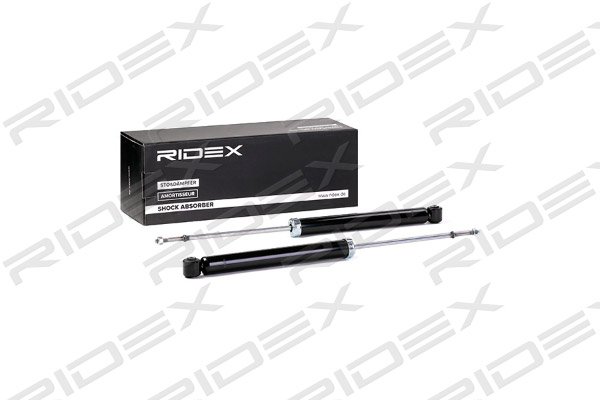 RIDEX 854S2097