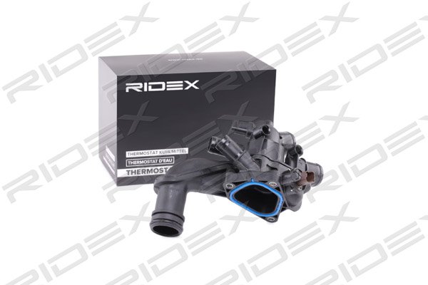 RIDEX 316T0121