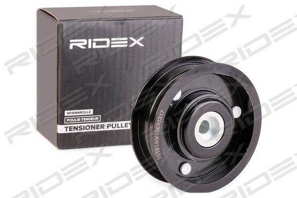 RIDEX 310T0229