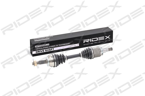RIDEX 13D0165