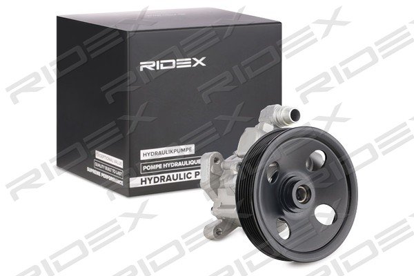 RIDEX 12H0180