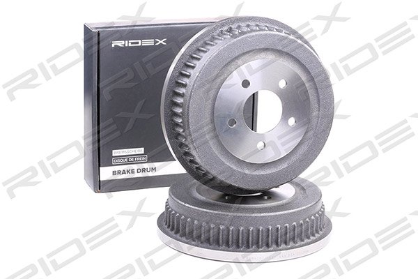 RIDEX 123B0011
