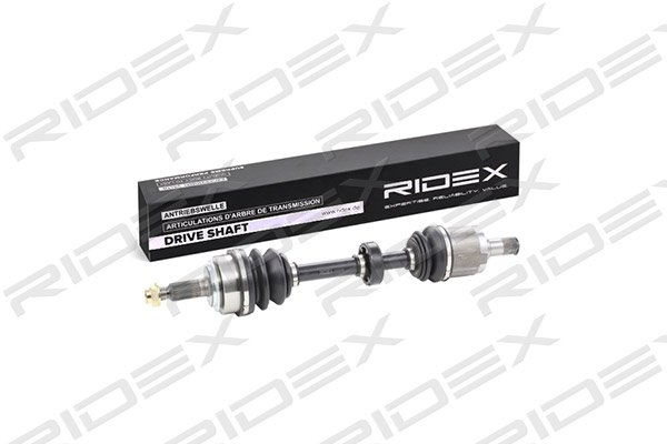 RIDEX 13D0155