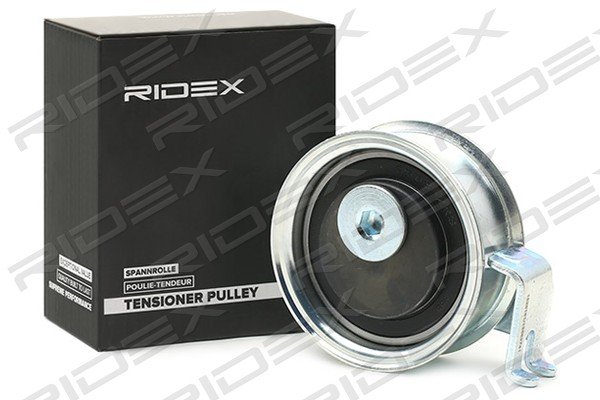 RIDEX 308T0141