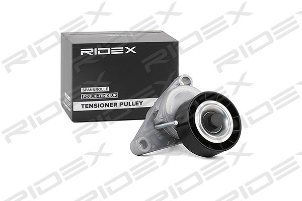 RIDEX 310T0047