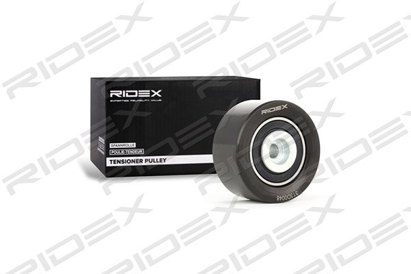 RIDEX 313D0048