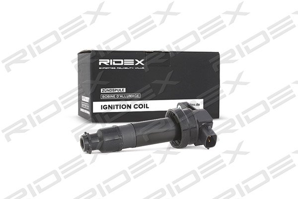 RIDEX 689C0161