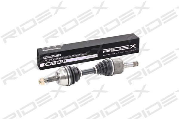RIDEX 13D0203