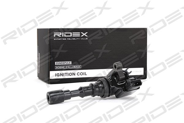 RIDEX 689C0177