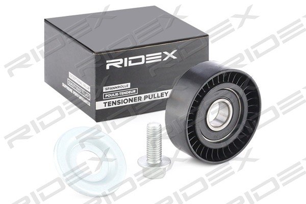 RIDEX 310T0096