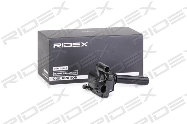 RIDEX 689C0312