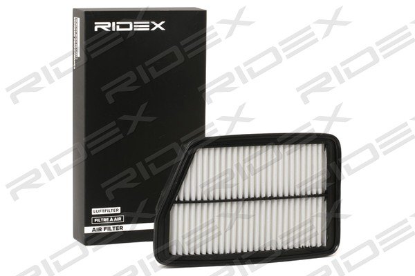 RIDEX 8A0766