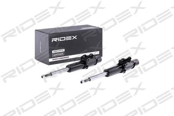 RIDEX 854S2198