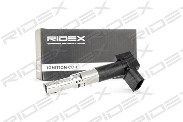 RIDEX 689C0230