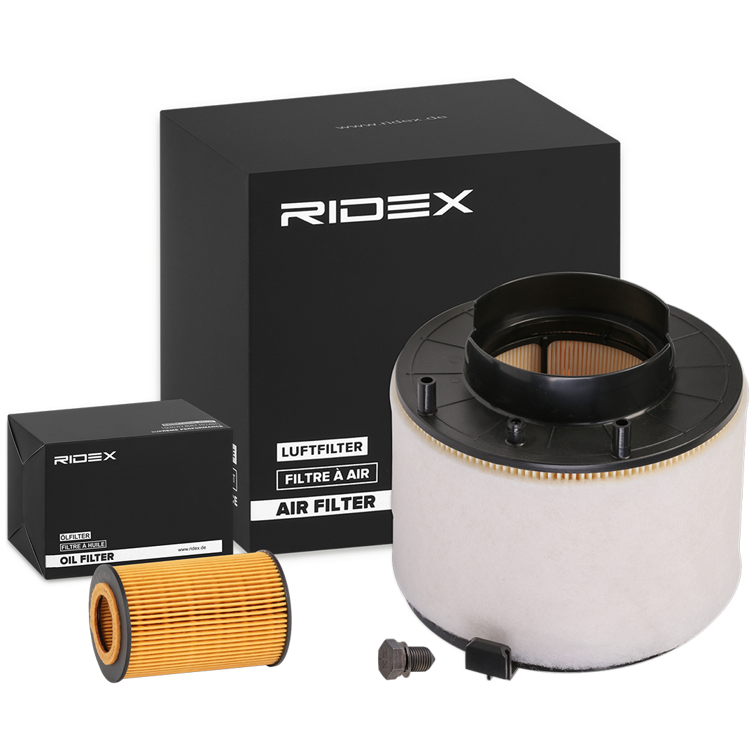 RIDEX 4055F19301