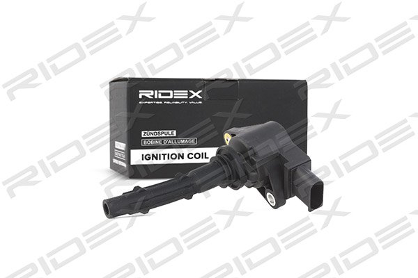 RIDEX 689C0048