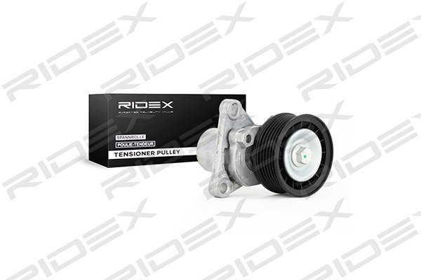 RIDEX 310T0011
