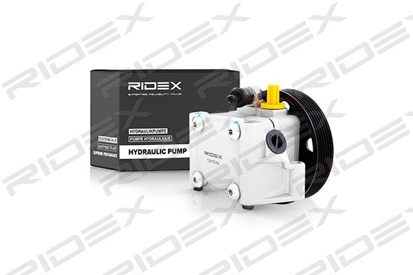 RIDEX 12H0054