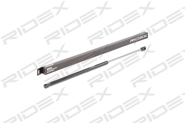 RIDEX 219G0719