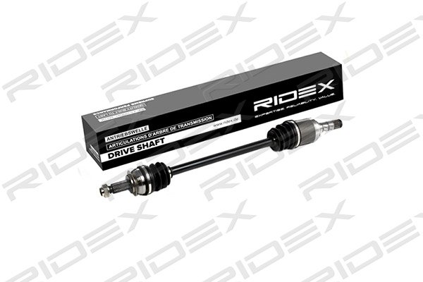 RIDEX 13D0115