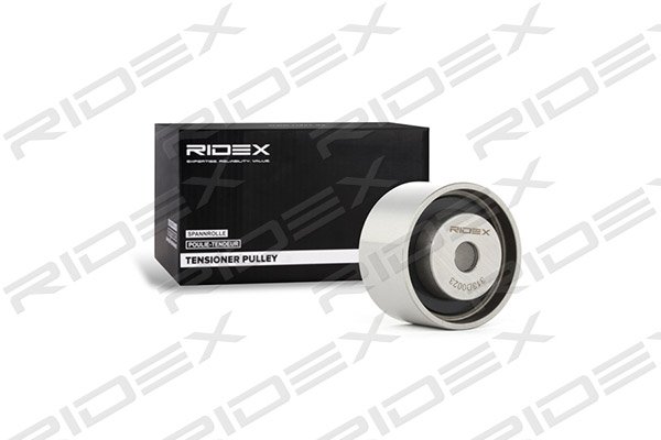 RIDEX 313D0023