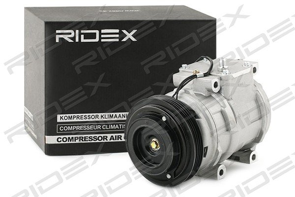 RIDEX 447K0194