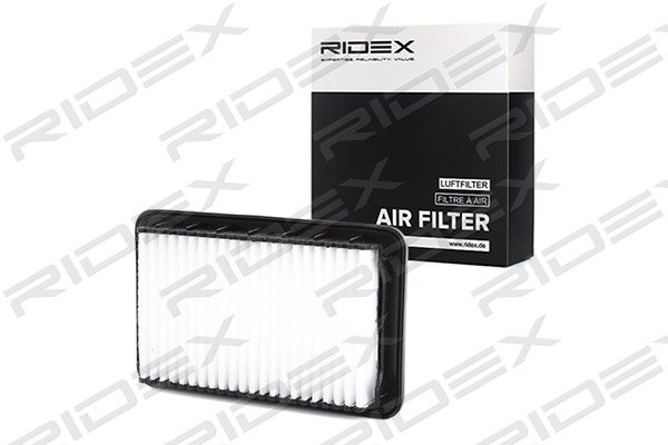 RIDEX 8A0438