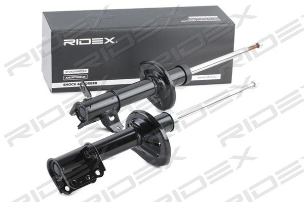 RIDEX 854S1793