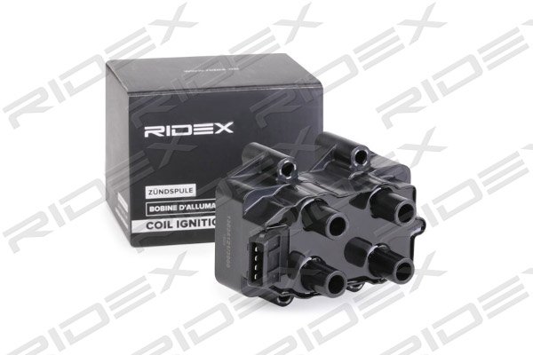 RIDEX 689C0300