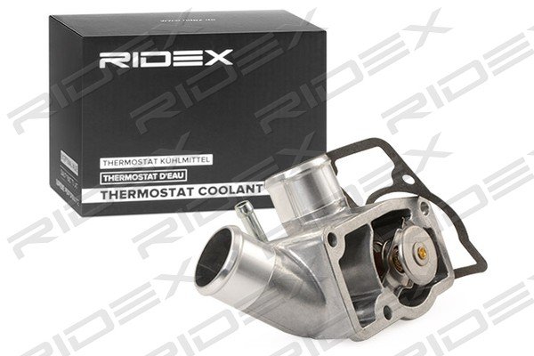 RIDEX 316T0123