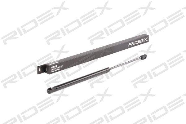 RIDEX 219G0547