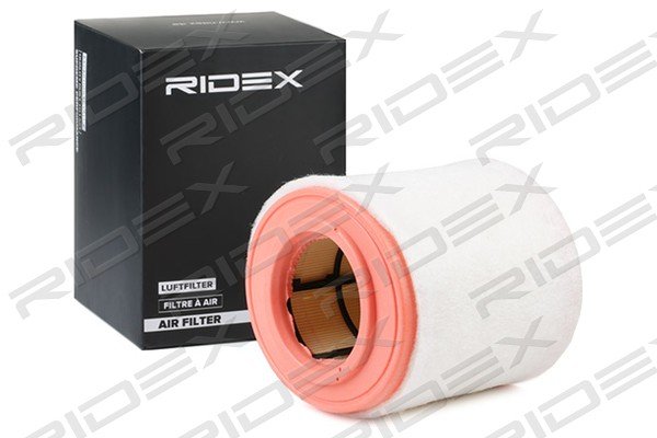 RIDEX 8A0709