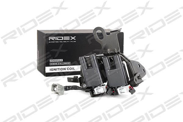 RIDEX 689C0132