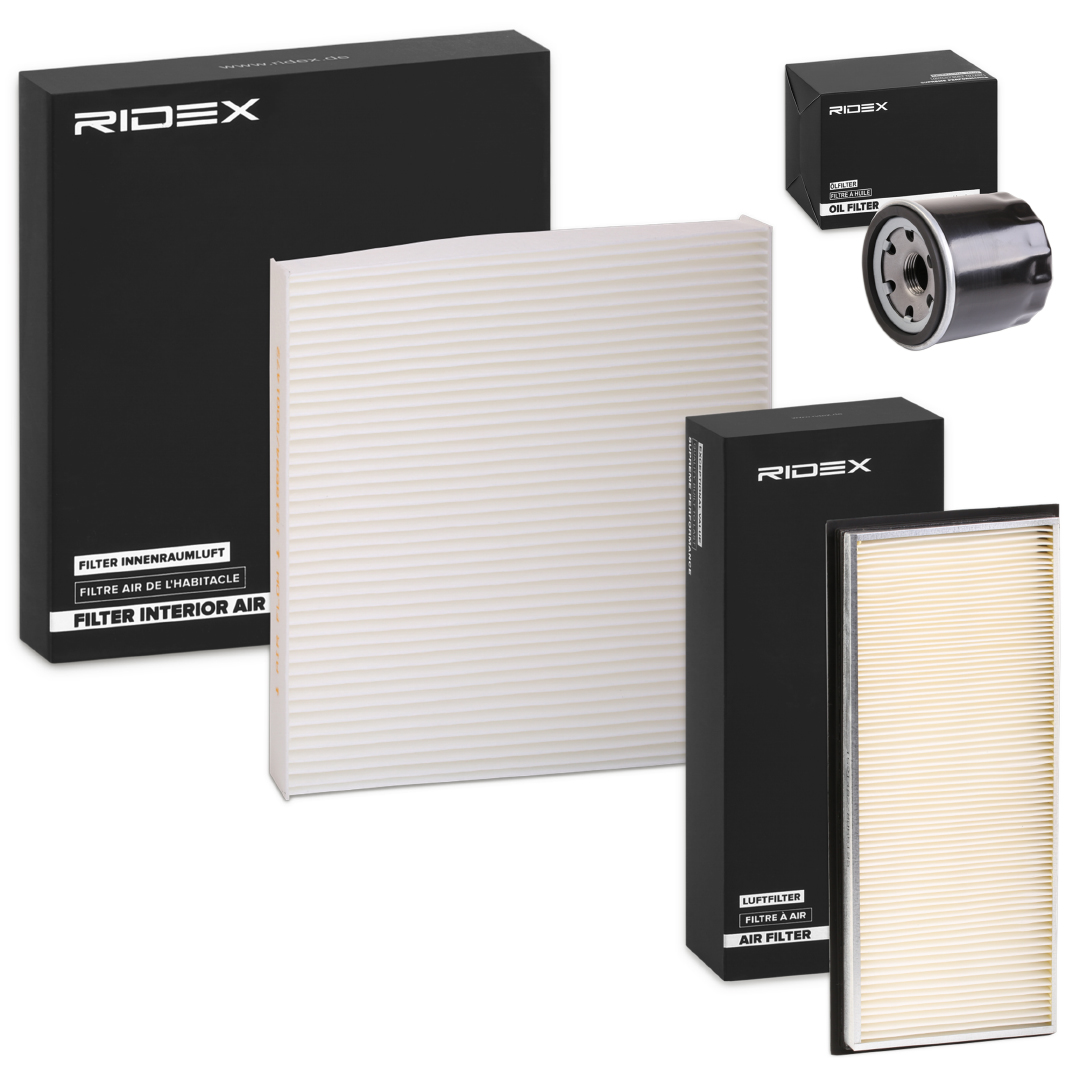 RIDEX 4055F19923