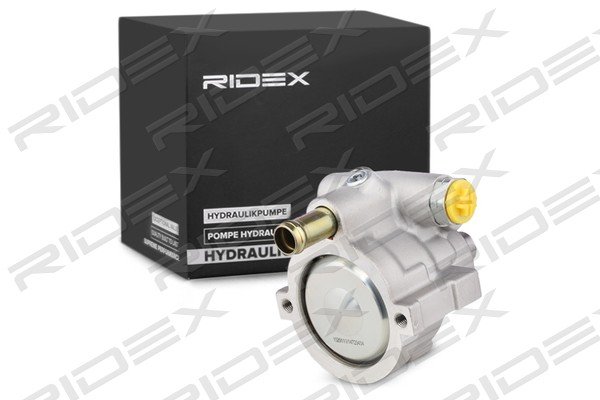 RIDEX 12H0193