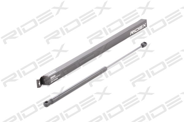 RIDEX 219G0455