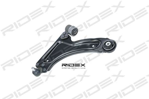 RIDEX 273C0497