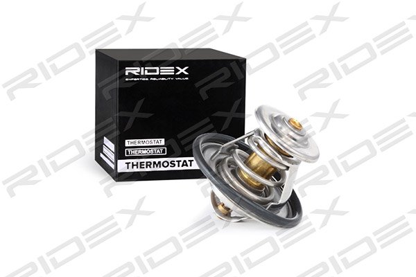 RIDEX 316T0034