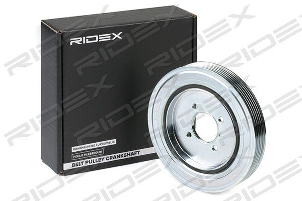 RIDEX 3213B0084