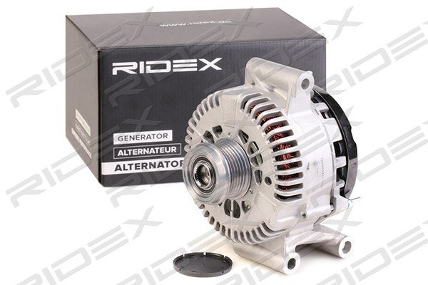 RIDEX 4G1238