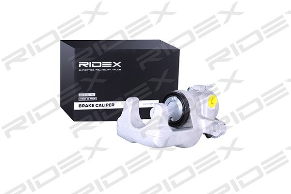 RIDEX 78B0179