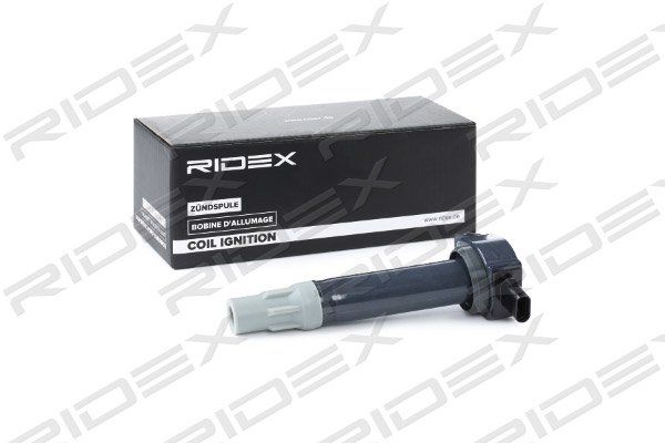 RIDEX 689C0299