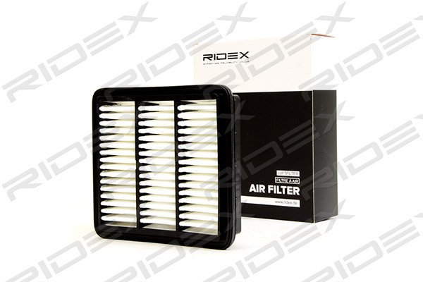 RIDEX 8A0042