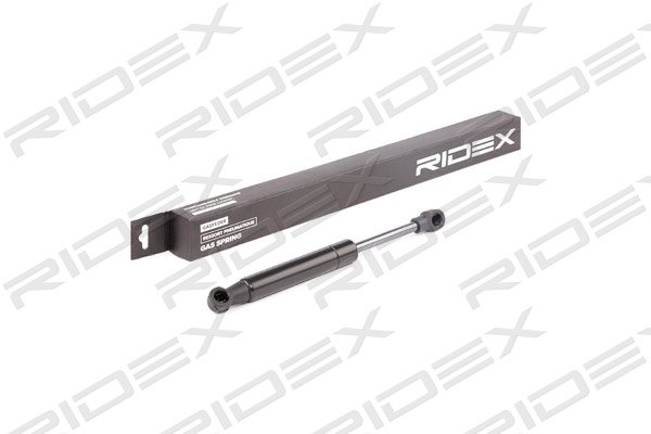 RIDEX 219G0636