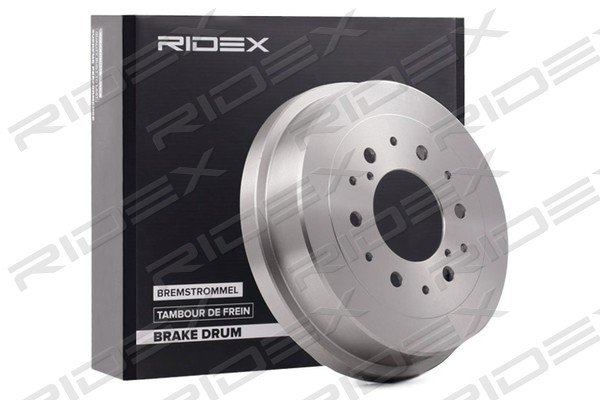 RIDEX 123B0175