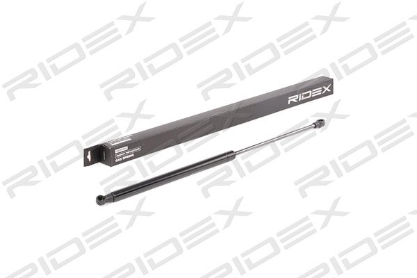 RIDEX 219G0694